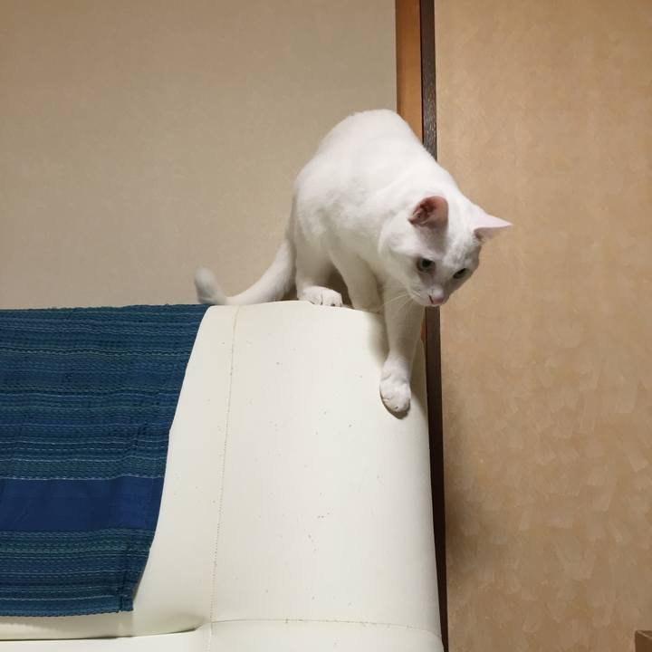 6dd0fdfa 31fa 4235 8f2f 7ecf0ea32581