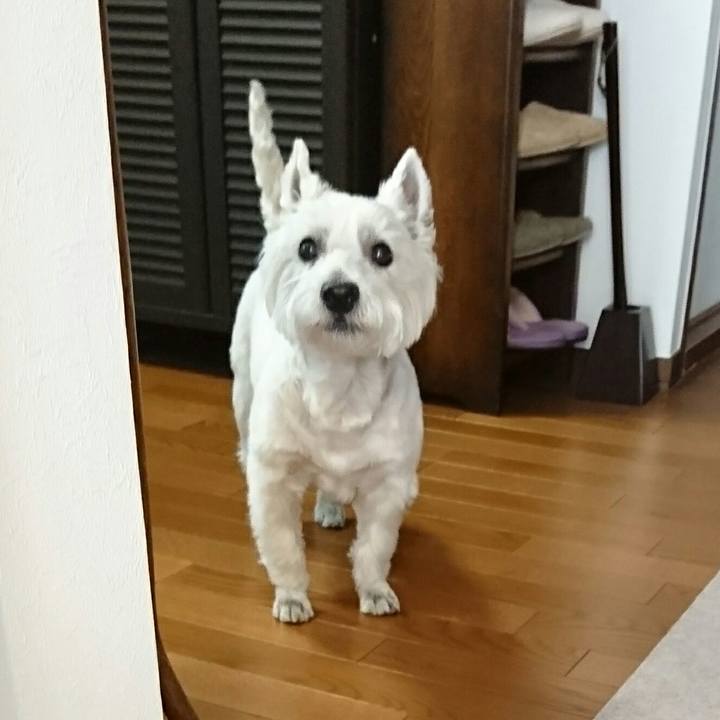 6dd10044 db4a 42f8 a8ec c61dc4382959