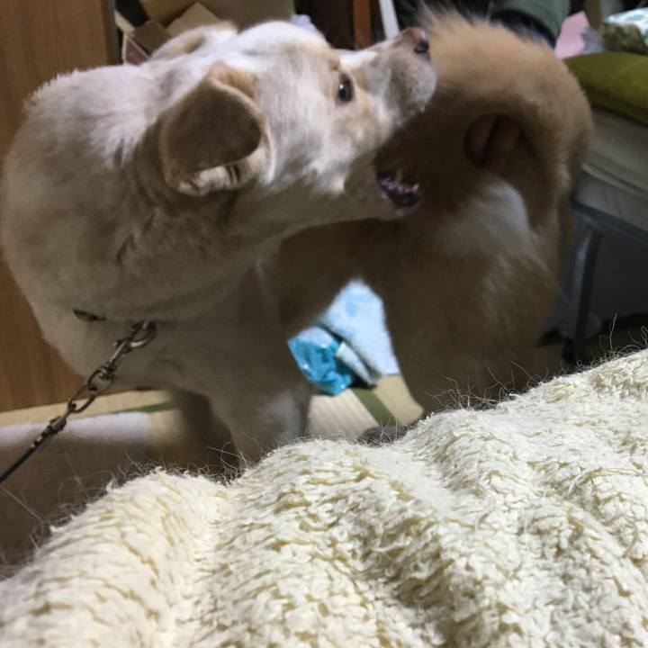 6dd128aa bbea 42a8 af3e 5a237adce07a