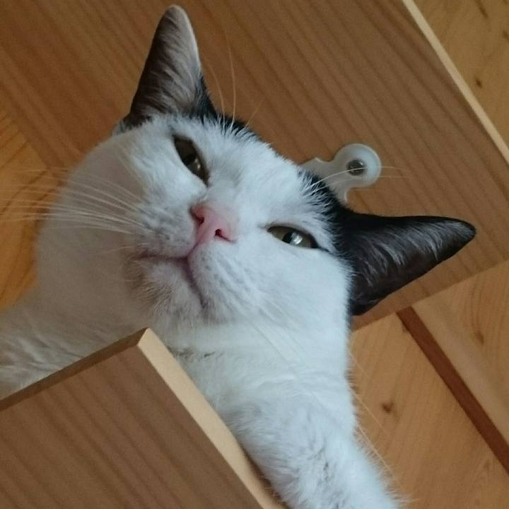 6dd13219 bf10 4b70 8cd1 fb7698afded9