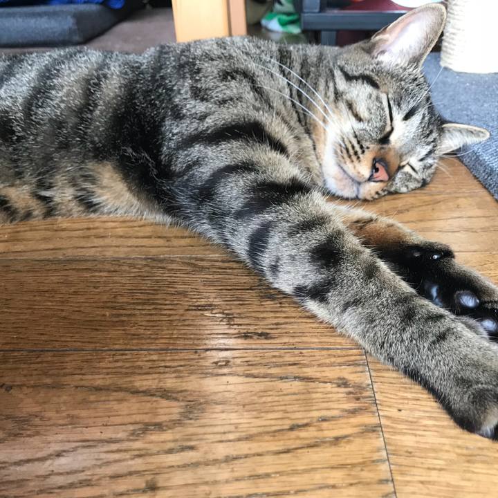 6dd135bb b985 4cc1 8af1 2d11d9b2b017