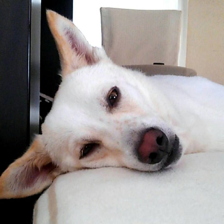 6dd1a268 590b 4ee0 9eb5 6b1050b53315