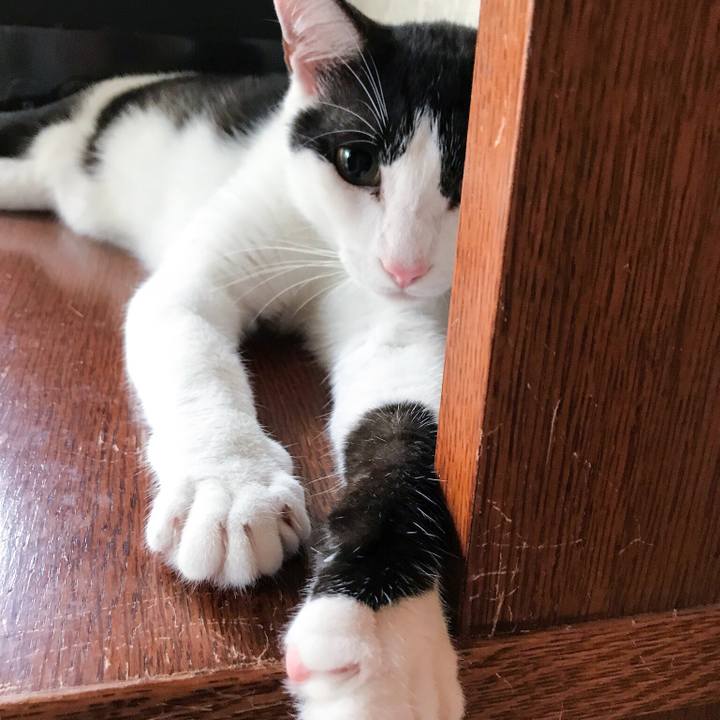 6dd1cdb6 b842 4344 aab7 743bbedc94ef