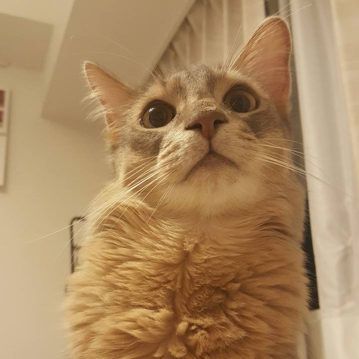 6dd2df3e 235a 4743 aef2 4626e87ce933