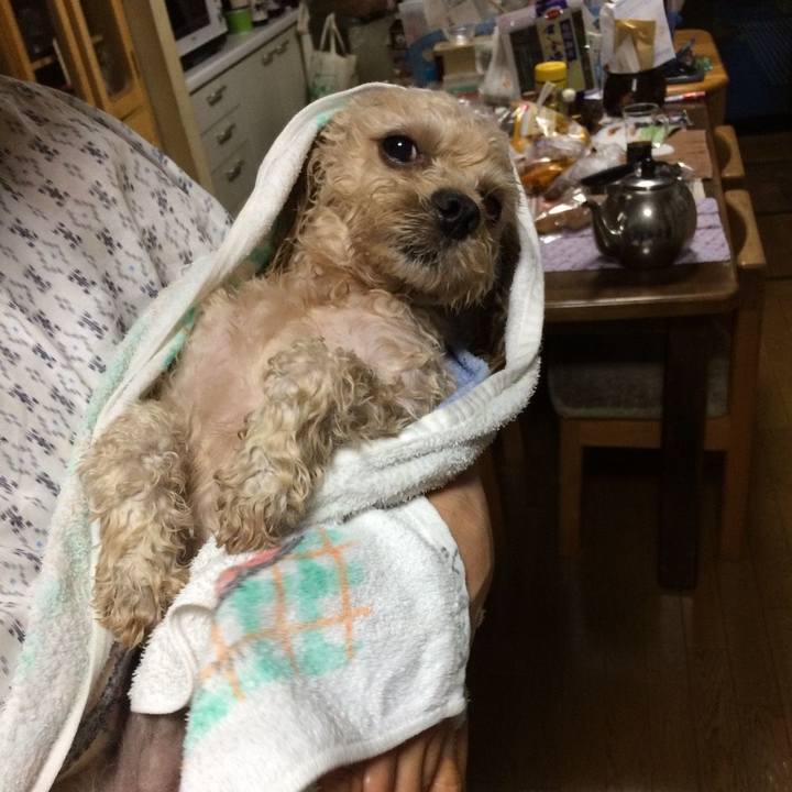 6dd2f50a 48f1 426c a90d acc92c6d3015