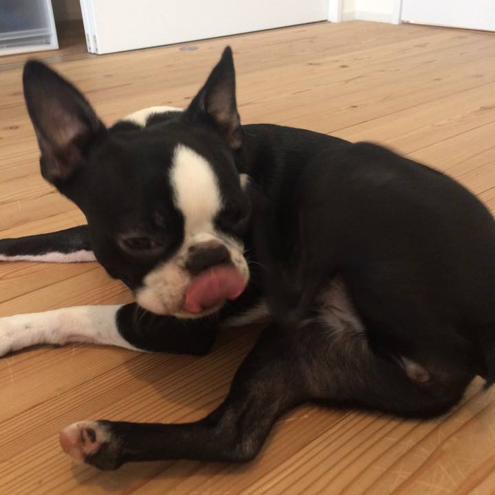 6dd374ee 30ff 4309 a6a2 815cfeedcb67