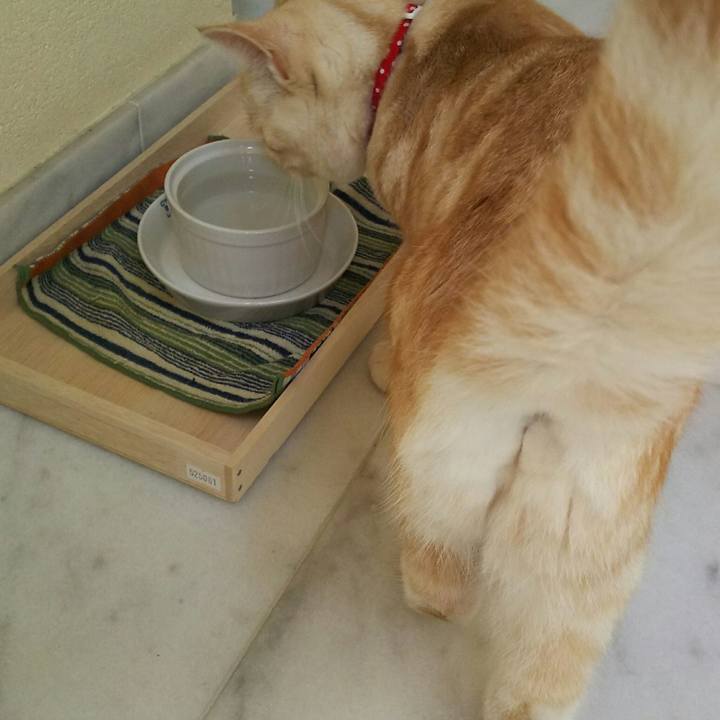 6dd39a85 9e8a 4cf9 b3a3 1f635a3f7477