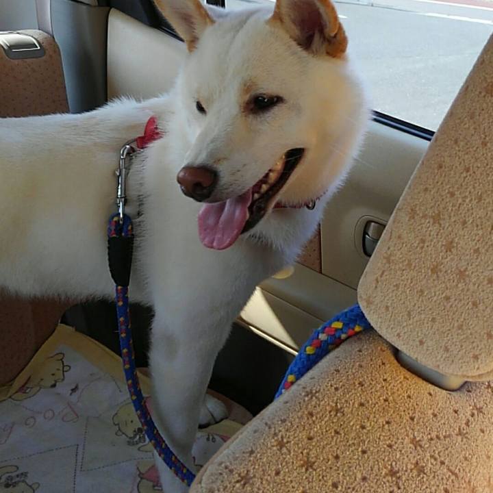 6dd3bdbe e50f 4a4a af49 6ca435708ecd