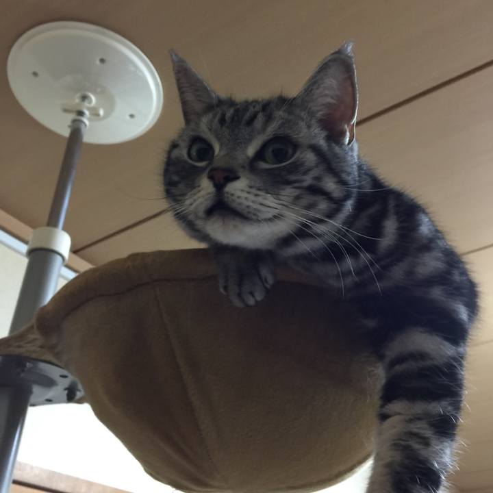 6dd414e2 b444 47ab 91bb b2c781d2ebfd