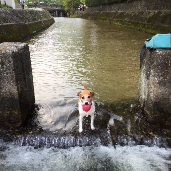 6dd492dd 9da6 47ce 80ca b3fc71ab1ffb