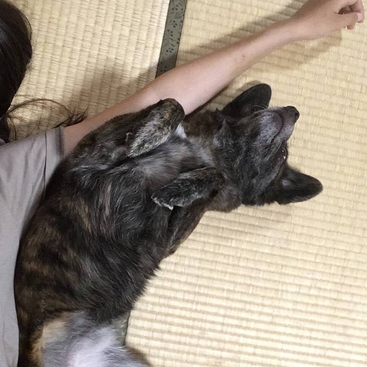 6dd4a621 38f2 4408 815e c99bf656adc2