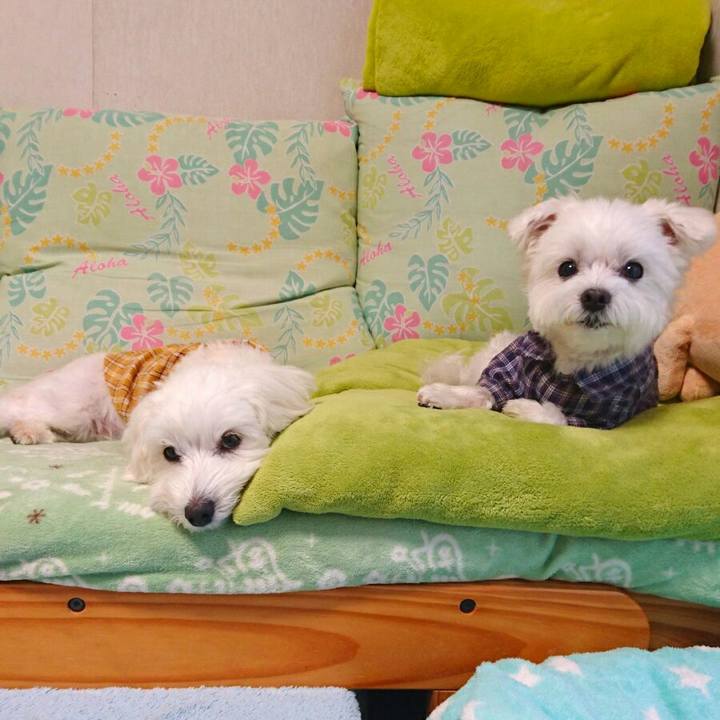 6dd55361 e6f6 44d9 a9ba 1a82dd36eb50