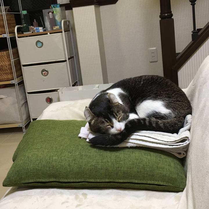 6dd6097c 758d 4b29 af19 7c8c6606bcdd