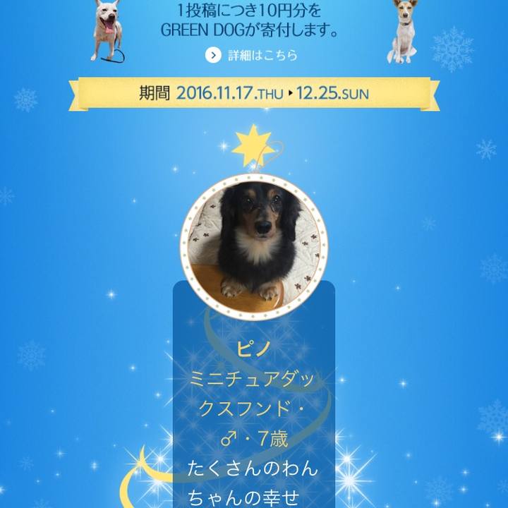 6dd6399e fcdd 459a a6c6 d39d6241cc91