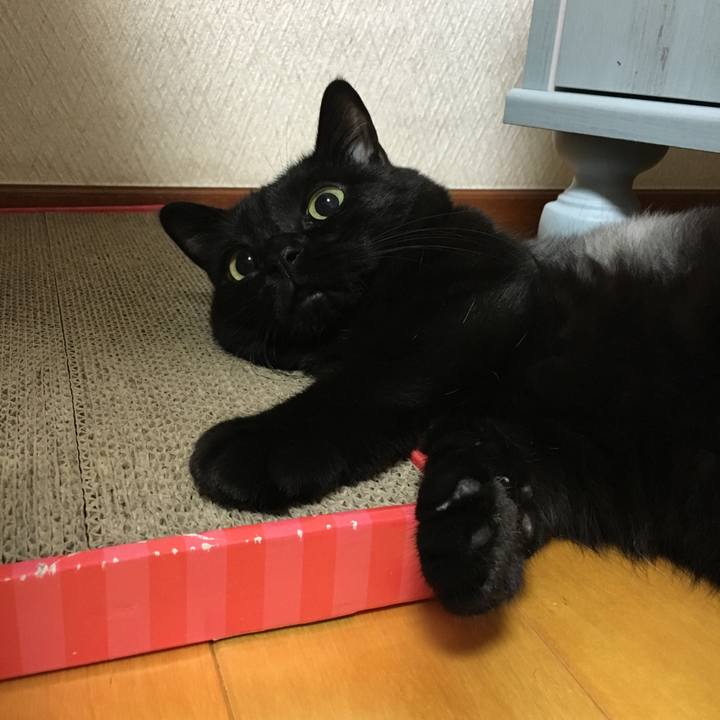 6dd6ce98 5910 4138 b292 b385062d56f5