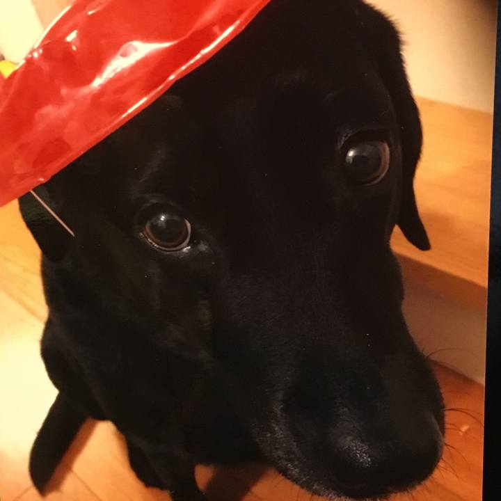 6dd6f3e6 5063 41d7 86a6 4f725d69a03e