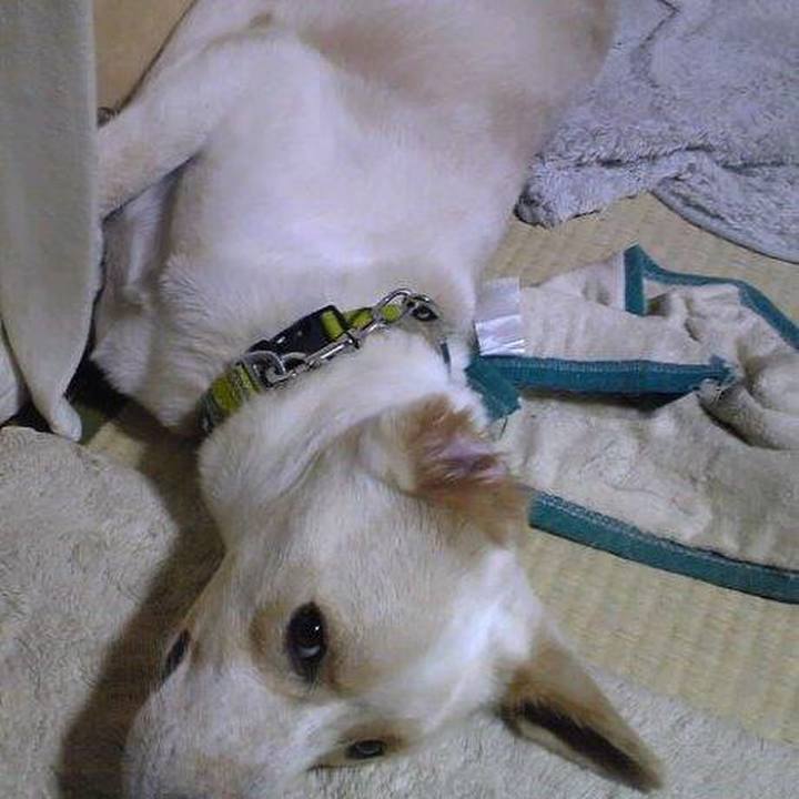 6dd7031d 23e5 44f3 aa98 e2ebfed85139