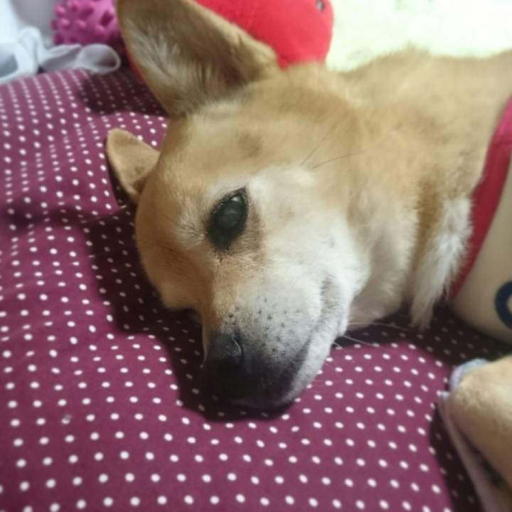 6dd7096d 14f9 4284 a1e0 b29ff73d4acb