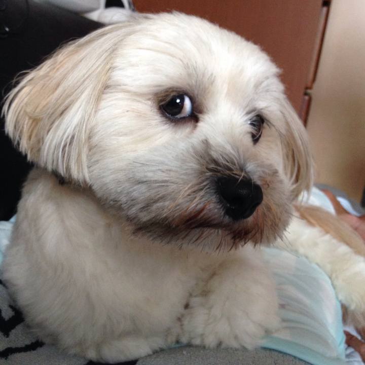 6dd715ab 6187 44e4 b89c 039077fdc680