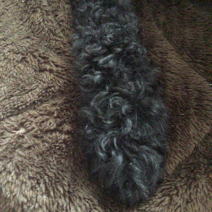 6dd754af bcb2 4025 a006 20102c4148da