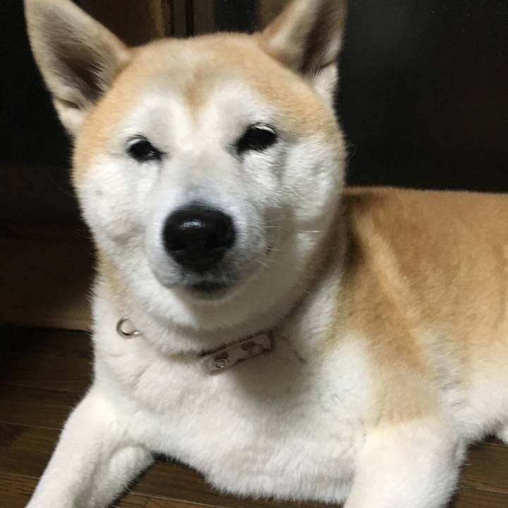 6dd83158 005d 4efe be59 ab9323d62921