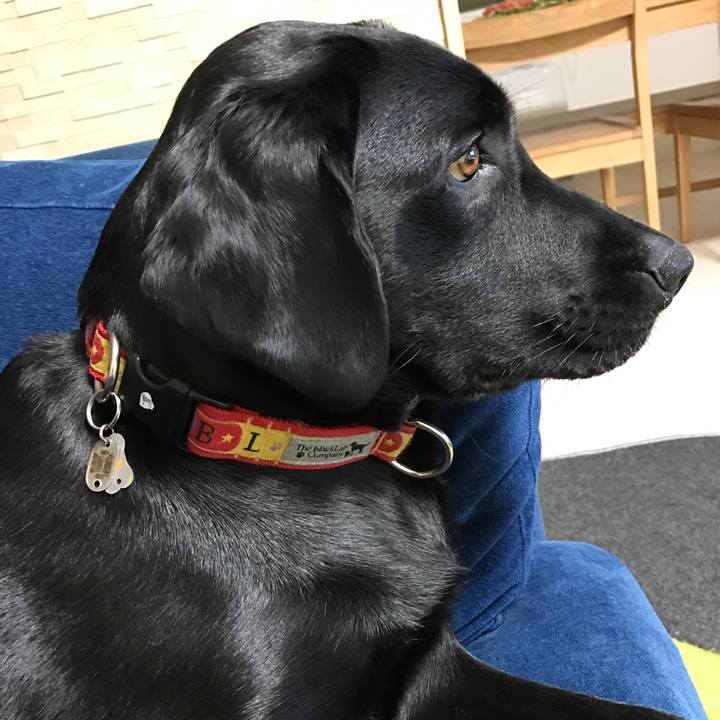 6dd8460d 963e 489d 85a9 49142e46d8d7