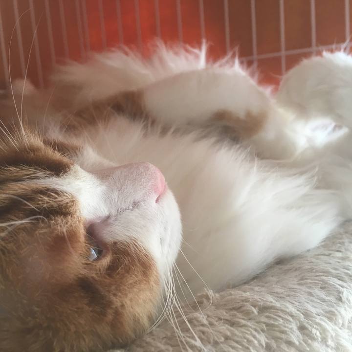 6dd87b64 db89 4bc2 9acf 6f48ae7d9388