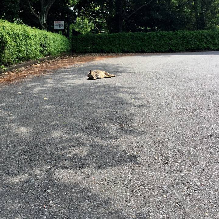 6dd8a7f7 3f7f 4f50 bdb2 10c583ab2d5a