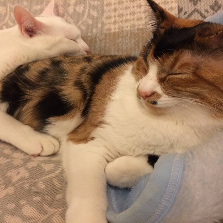 6dd8e54b 621a 4756 acbb 49a0173689b1