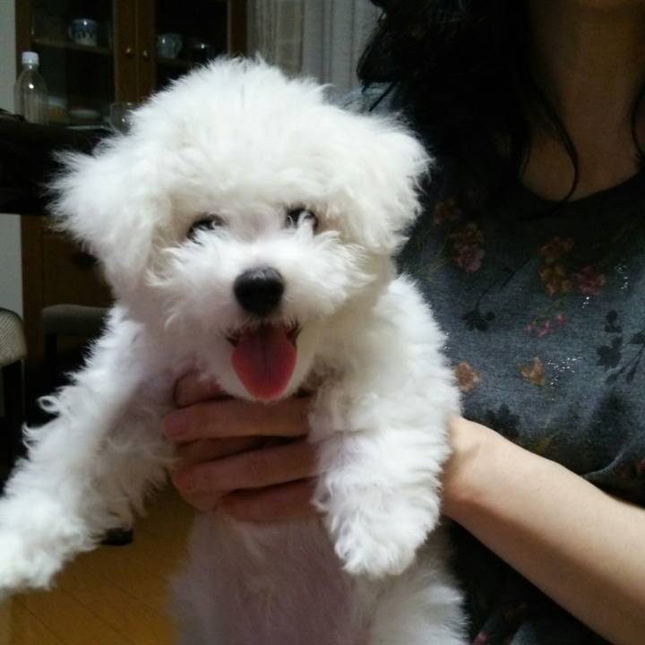 6dd96afe 51ba 4e2a b894 81af4d8bb8d4