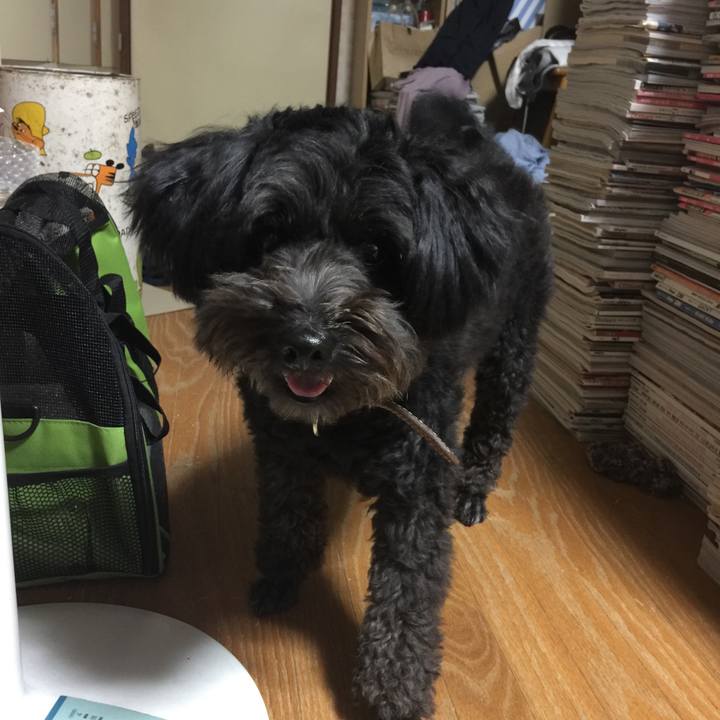 6dd982d7 f003 4f50 8e6d 72ccc6fa18a0