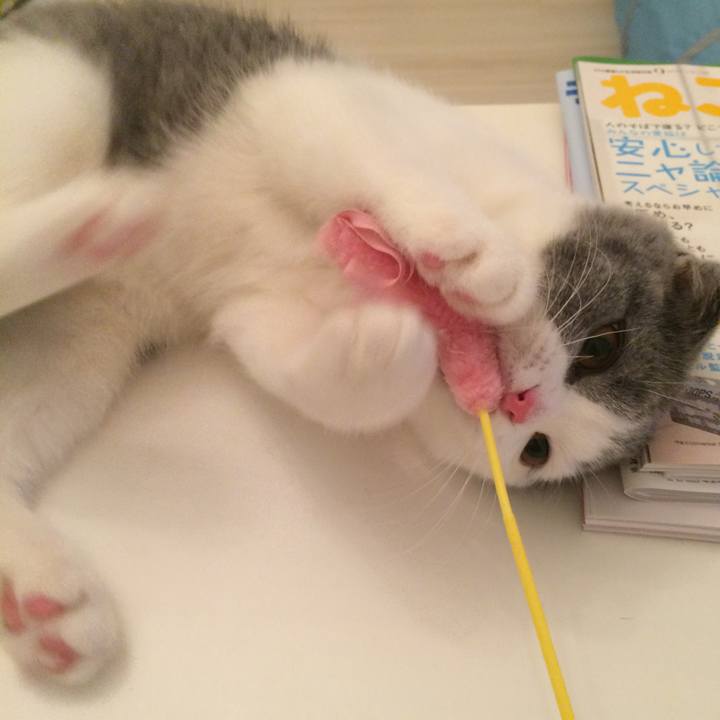 6dd986e9 f628 49fe a07c 53354699c385