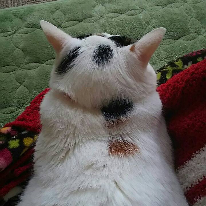 6dda1dd1 474b 493d 9740 5689f81e3299