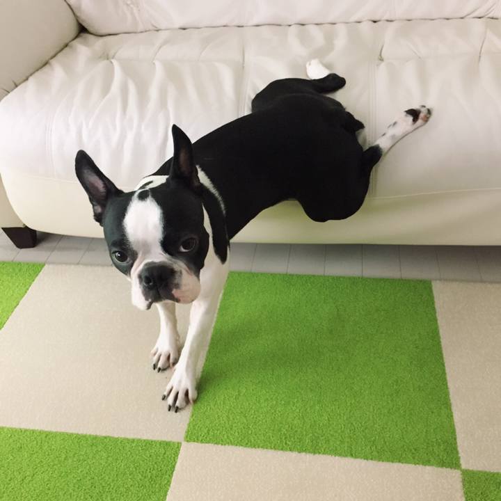 6dda6488 14a6 4f03 91c9 778ef8c1ef3f