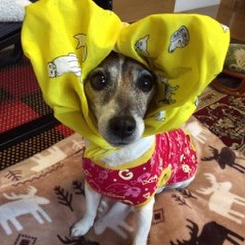 6dda69ef 693b 4208 a11a 1a009cb481f8