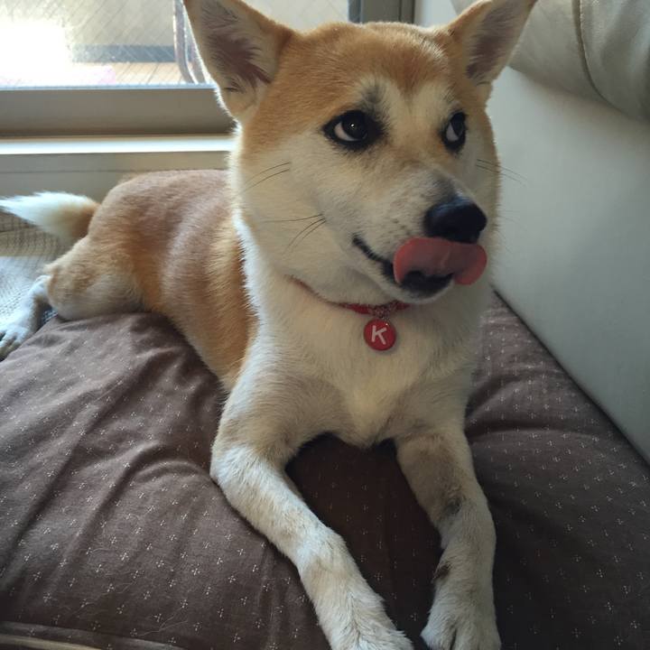 6ddac36a 3fd5 4d7c b58a 492379b6211c