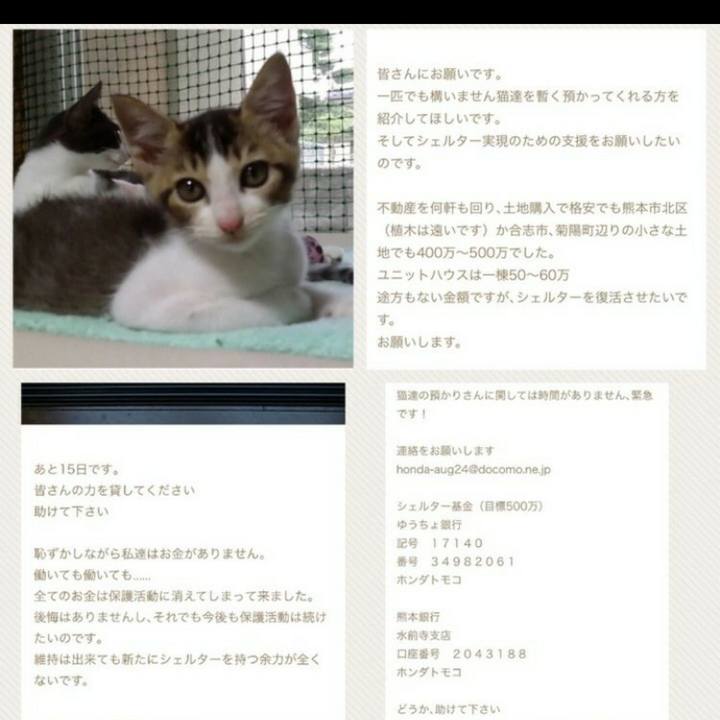 6ddb1924 44c8 44d2 9579 cff7746da1da