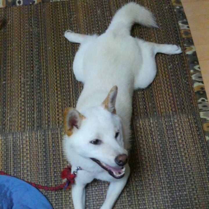 6ddb2c62 3c56 468b 89a3 3ecdf98bbe26