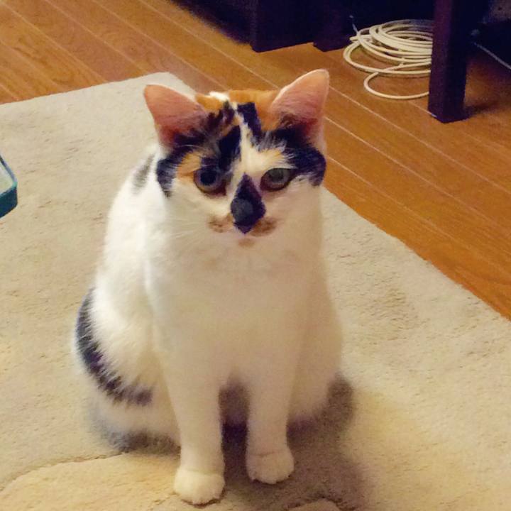 6ddb5489 7eaa 4933 9758 9c78a7e0bb87