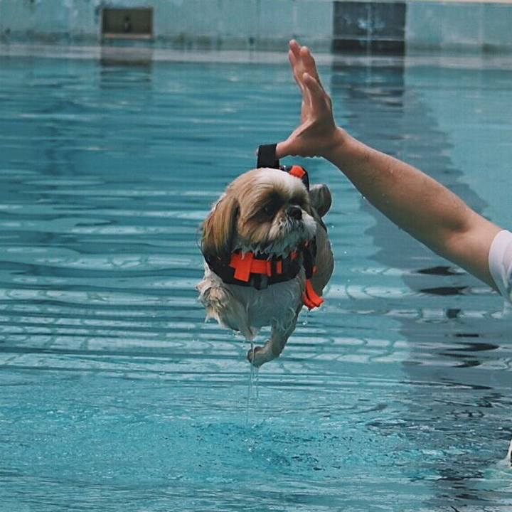 6ddbd4af 4180 46ae 9baa 987059ca1d3f