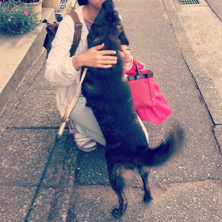 6ddbf49e 3613 4191 9f9b 7c0b56be92e0