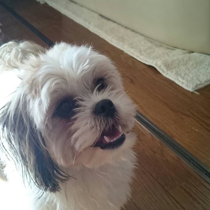 6ddc0ab5 2890 4879 952f e95bf802e426