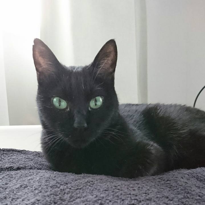 6ddc0c6f e534 46d2 9dd1 ef02f4a2775f