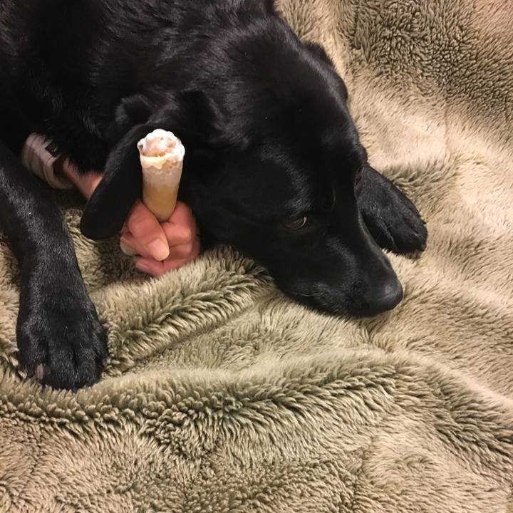 6ddc4b67 a0d8 4b2f 9d67 8f9a1e1909da