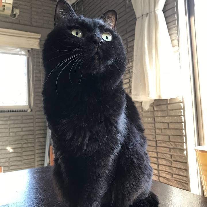 6ddcd463 a8de 4602 92f8 74c409760a82