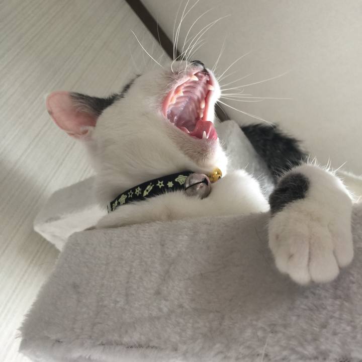 6ddd7404 d735 4d47 bb88 a099ea9b7148