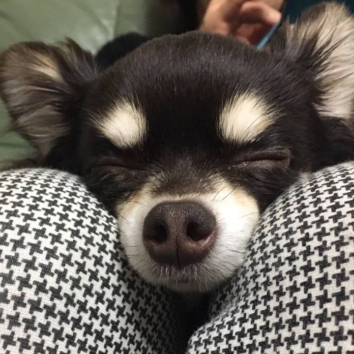 6ddd813f b8d8 48fb 9419 2618228e7c3f