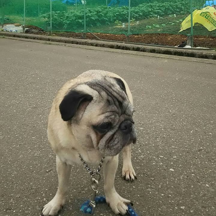 6dde8b8a 8945 4d1a 880d f2f2d3bd0194