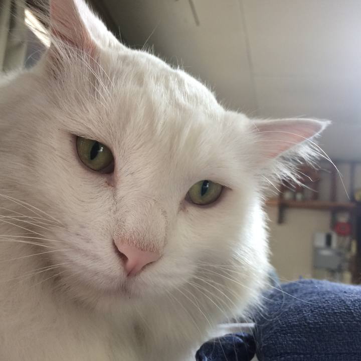 6ddeaf88 54e1 4463 9dca 2ce26724da78