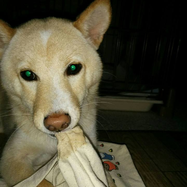 6ddeef03 0dcb 4369 a434 86224d5d2682